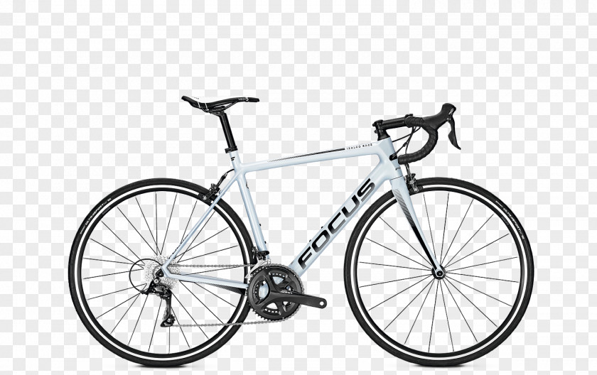 Continental Frame Racing Bicycle Shimano Focus Bikes PNG