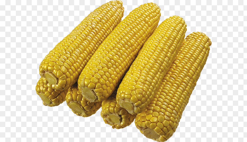 Corn On The Cob Maize IFolder DepositFiles PNG