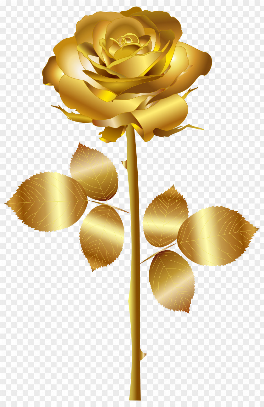 Gold Rose Clip Art Image Yellow PNG