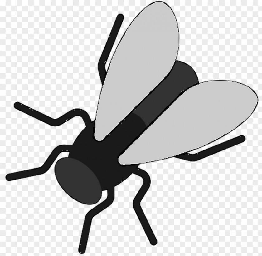 Insect Clip Art Butterfly M / 0d Pollinator PNG