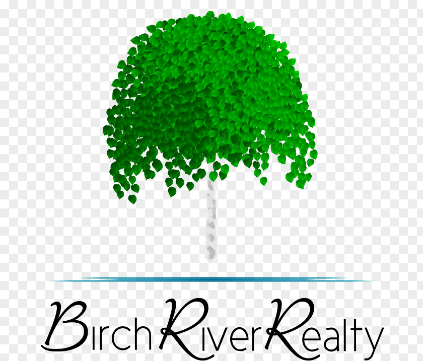 Walindi Plantation Resort Birch River Realty Drive Achasta Tree Brand PNG
