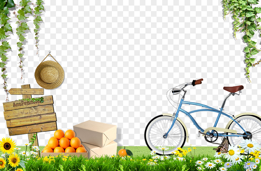 Bike On The Grass PNG