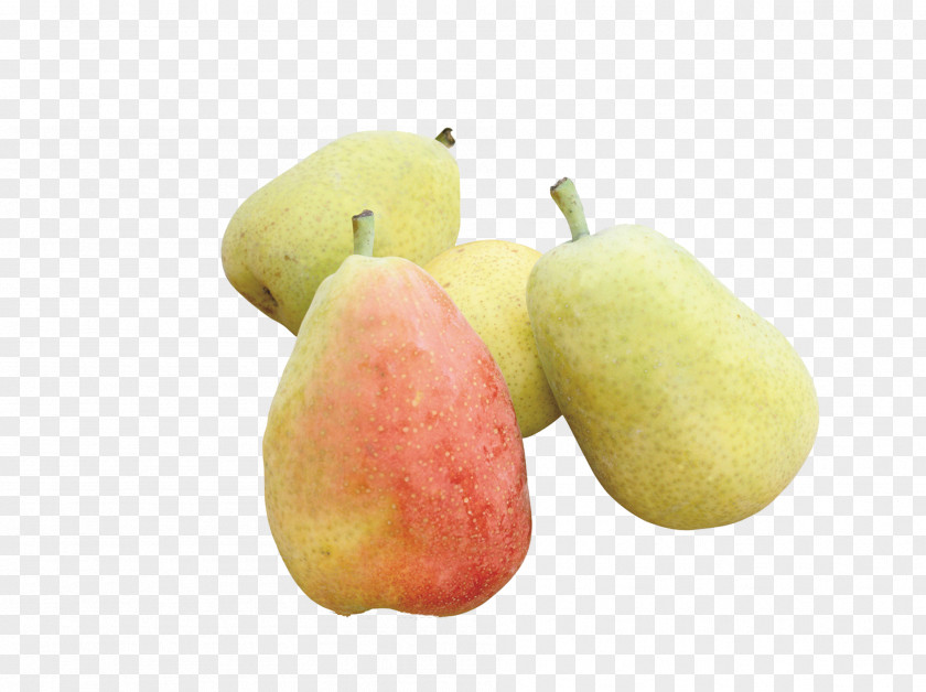 Delicious Pears Pyrus Nivalis Xd7 Bretschneideri Amygdaloideae Fruit PNG