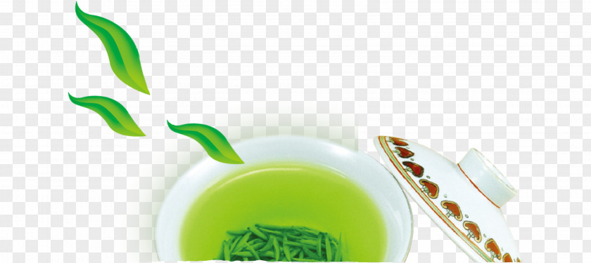 Green Tea Teaware Teacup PNG