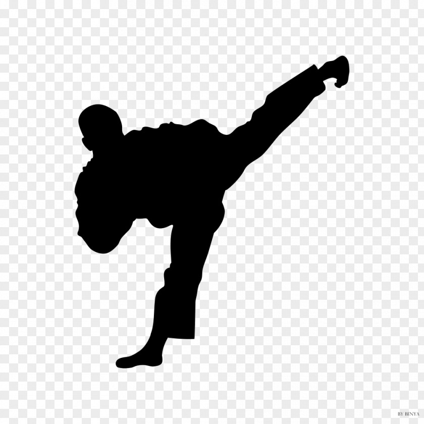 Karate Moo Duk Kwan Taekwondo Martial Arts Kick PNG