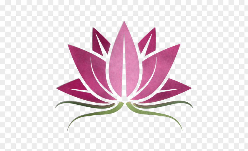 Lotus PNG