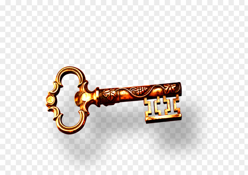 Metal Key Icon PNG