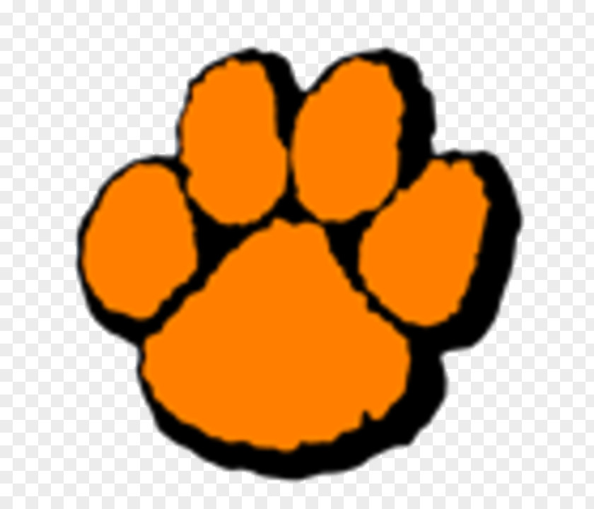 School Wheaton Warrenville South High Middle National Secondary PNG