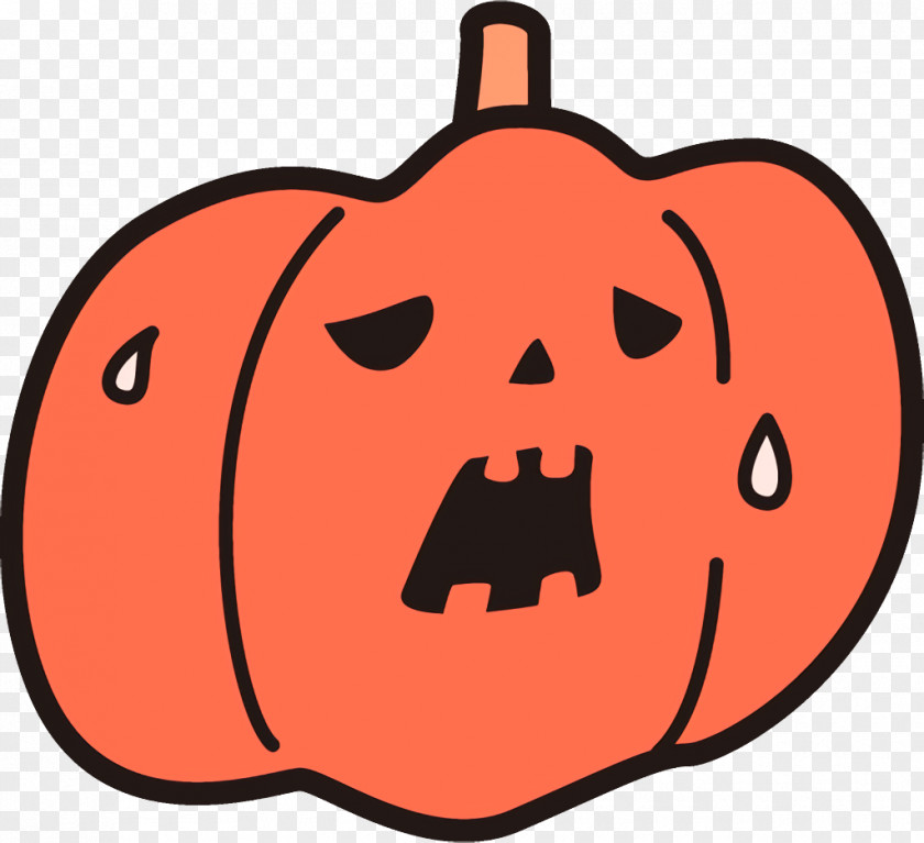 Smile Plant Jack-o-Lantern Halloween Carved Pumpkin PNG