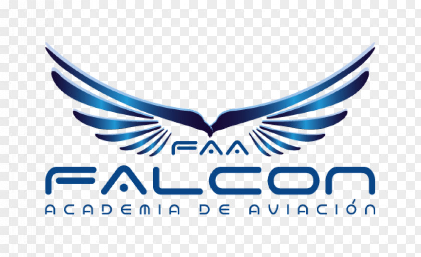 Airplane Falcon Aviation And Pilots School In Bogota 0506147919 PNG