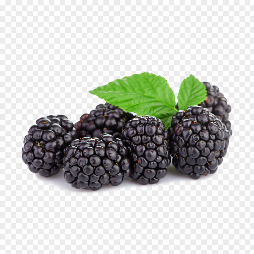Berries Tayberry Boysenberry Raspberry Blackberry PNG