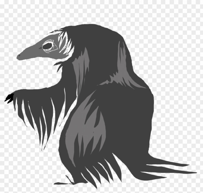 Bird Beak Of Prey Illustration Carnivores PNG