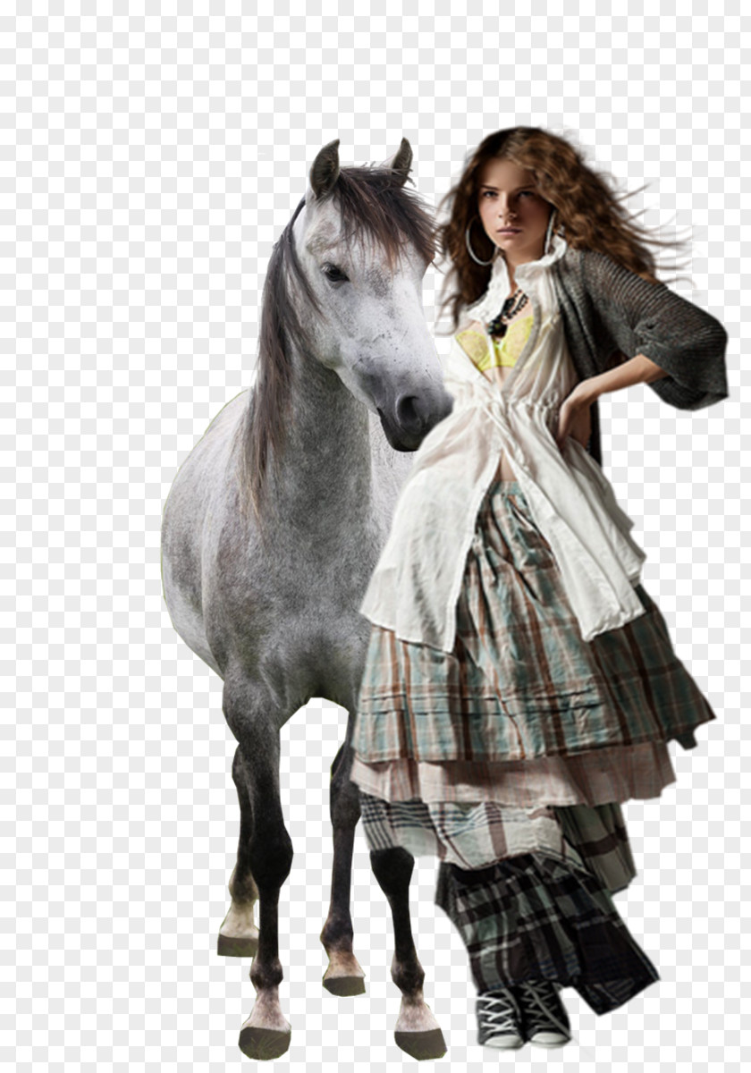 Indianer Arabian Horse Andalusian DeviantArt Friesian Pony PNG