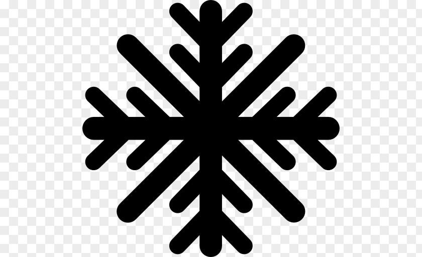 Snowflake Crystal Cold PNG