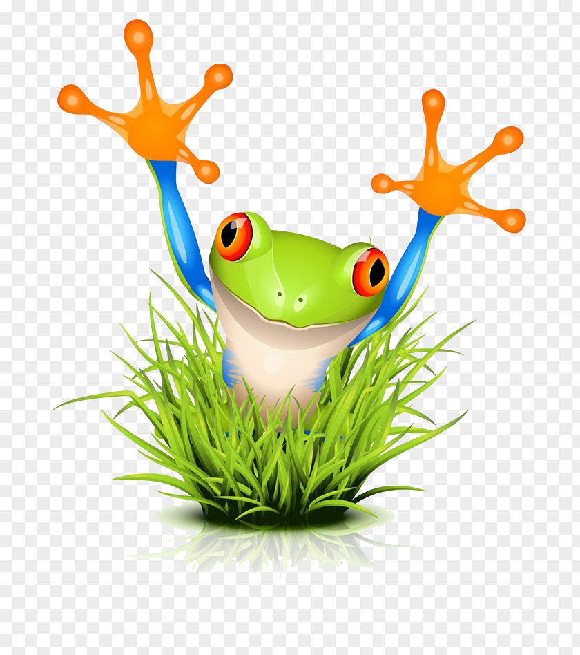 The Frogs Surrounded By Weeds Tree Frog Royalty-free Clip Art PNG