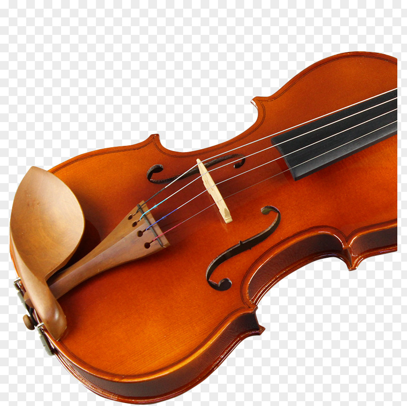 Cotton Tree Violin Zaomu Bass Violone Viola Fiddle PNG