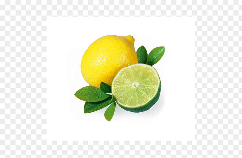 Lime Lemon-lime Drink Persian Citron PNG