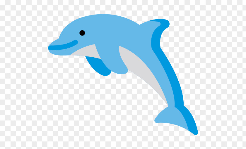 Zoo Animal Common Bottlenose Dolphin Short-beaked Tucuxi Wholphin Rough-toothed PNG