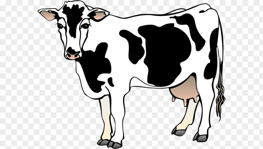 A Cow Holstein Friesian Cattle Dairy Free Content Clip Art PNG