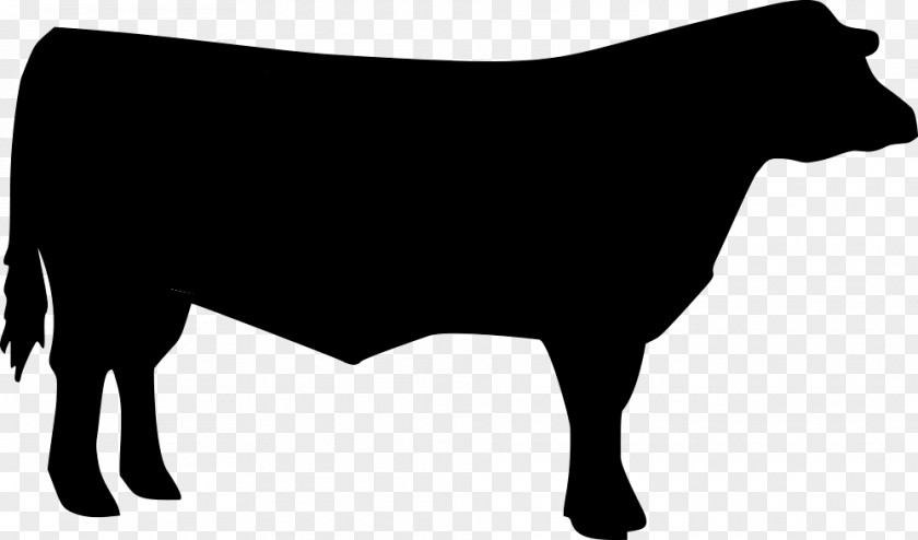 Cattle Clip Art 4-H Livestock Vector Graphics PNG