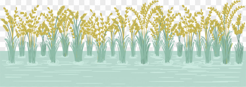 Paddy Field 0 Euclidean Vector Wall PNG