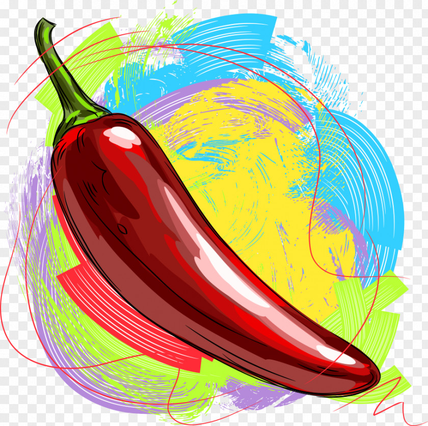 Vector Red Pepper Chili Bell Jalapexf1o Illustration PNG