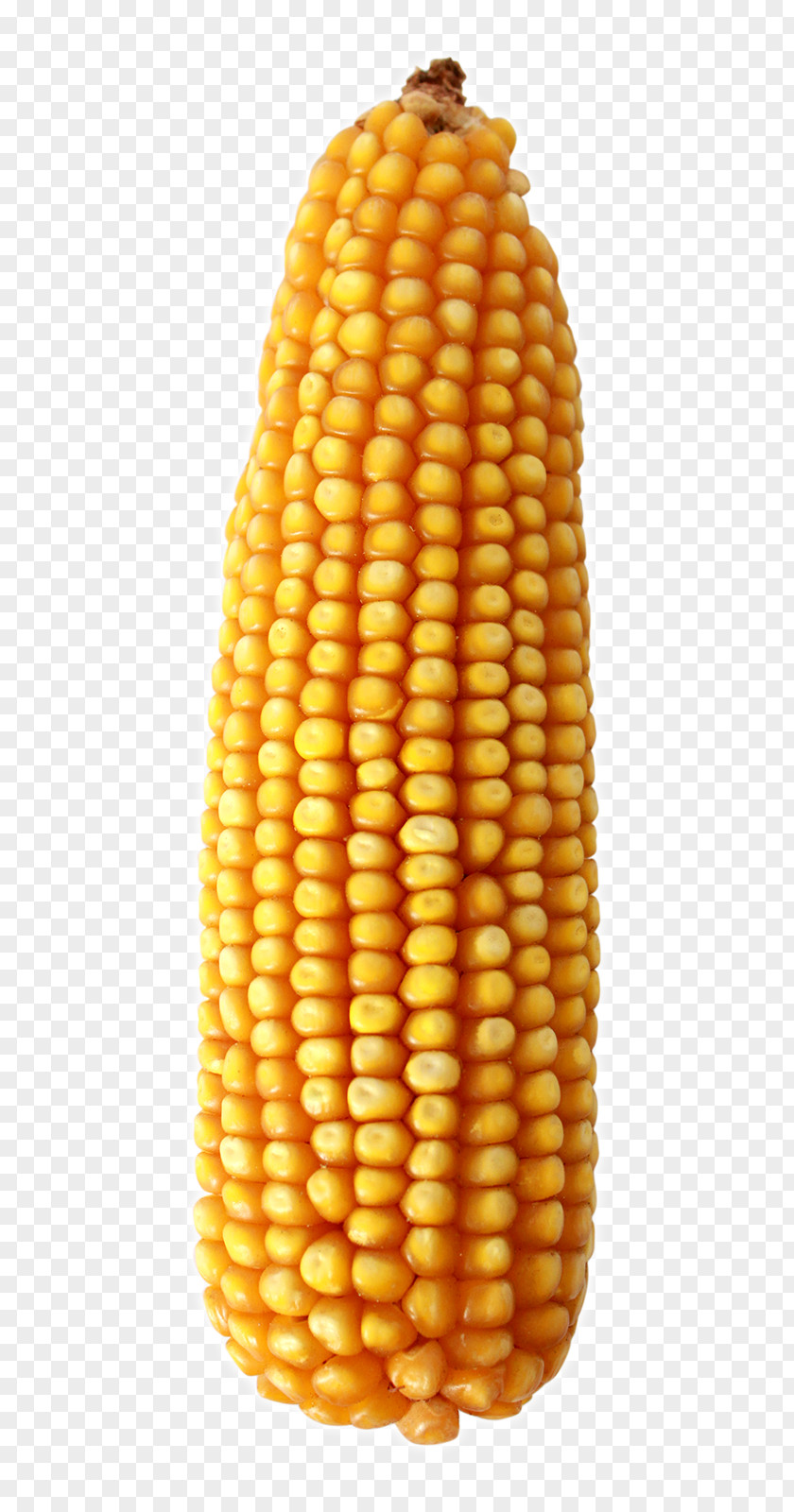 Corn On The Cob Tortilla Maize Wheat PNG