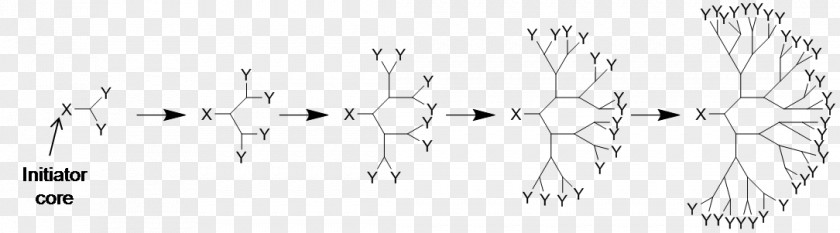 Dendrimer Chemistry Divergent Synthesis Chemical PNG