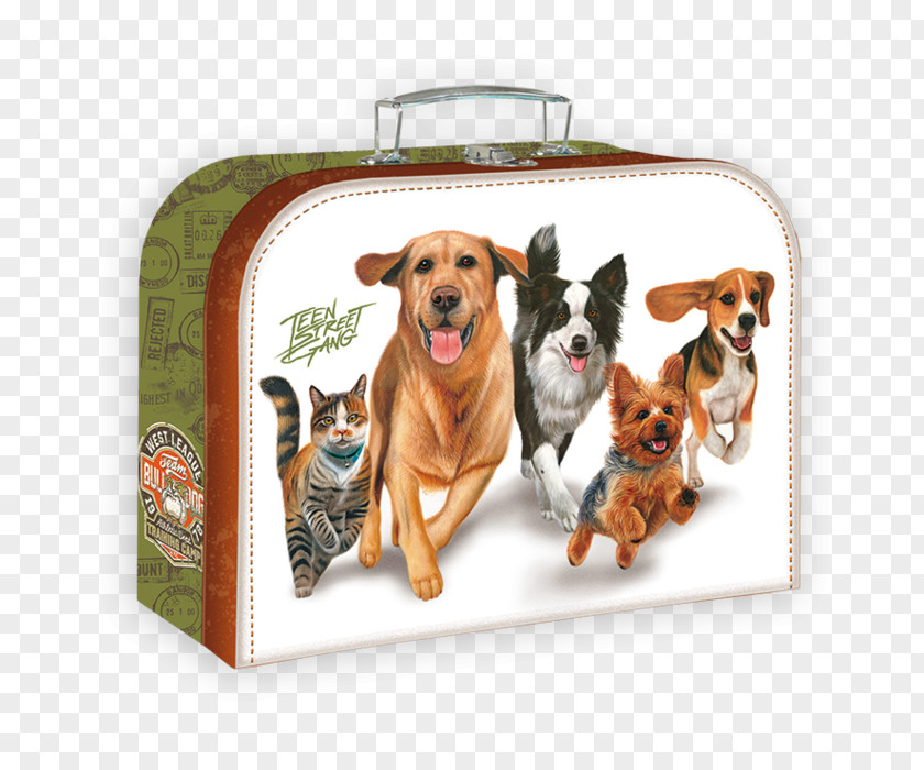Fairy Tales Horses Briefcase Gang Dog Breed School Exercise Book PNG