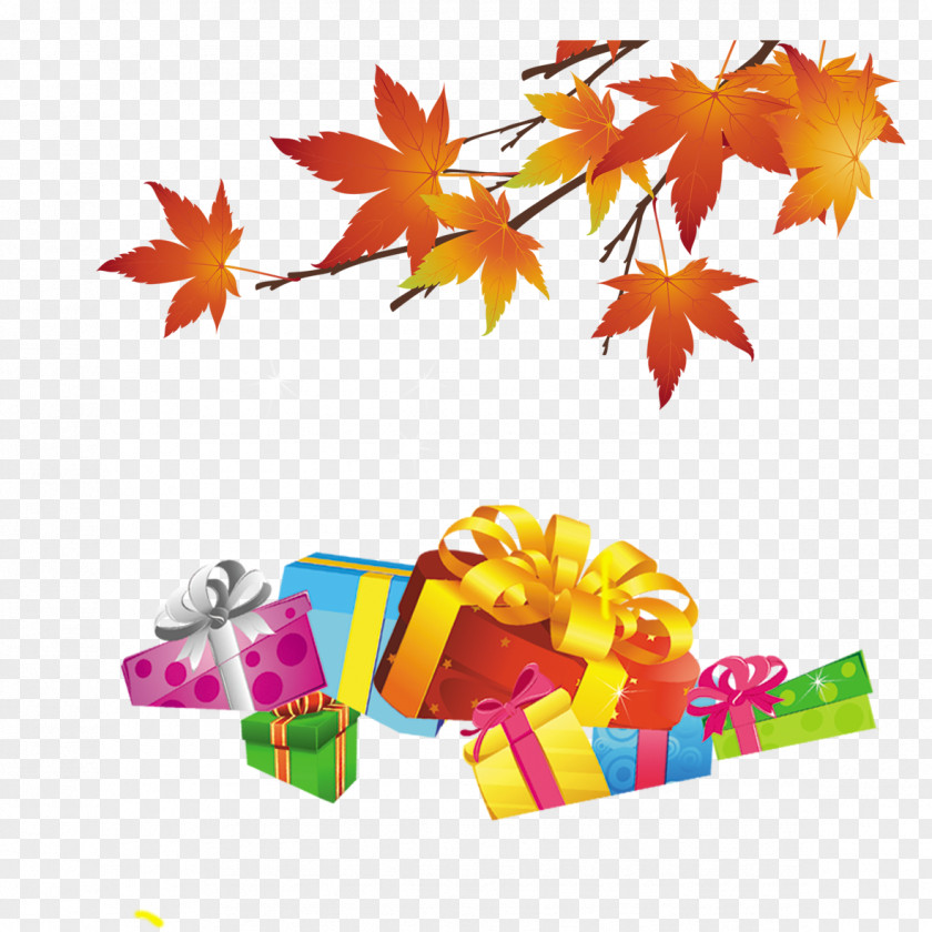 Maple Leaf Gift Euclidean Vector PNG