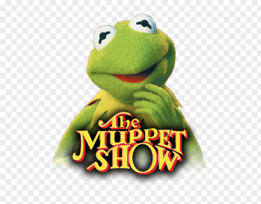 Muppets DVD-Video Tree Frog The Walt Disney Company Season PNG