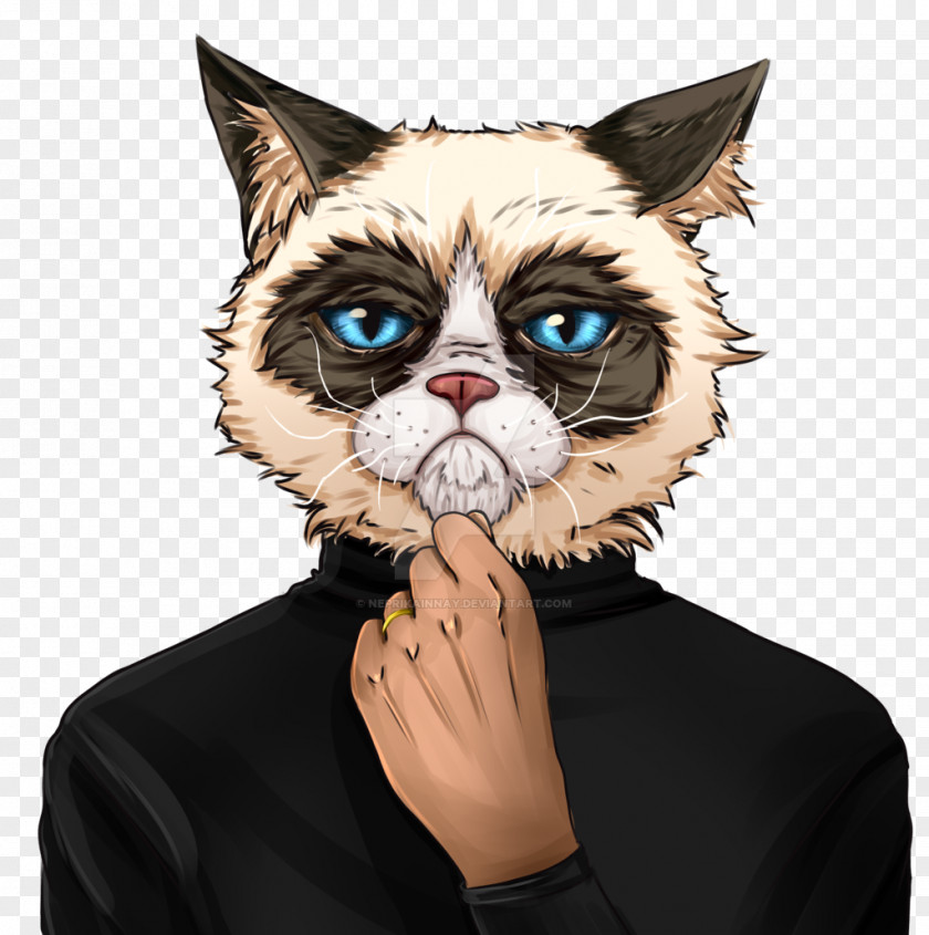 Steve Jobs Grumpy Cat Kitten Whiskers Mouse PNG