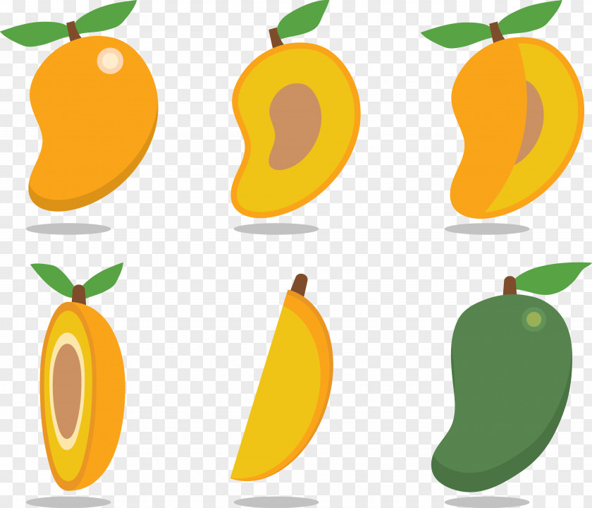 Sweet Fresh Tropical Mango Fruit Euclidean Vector Clip Art PNG