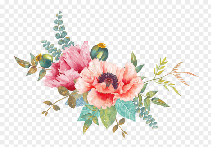 Watercolor Paint Flowering Plant Rose PNG