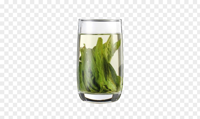 A Cup Of Green Tea Anhui Taiping Houkui Keemun PNG