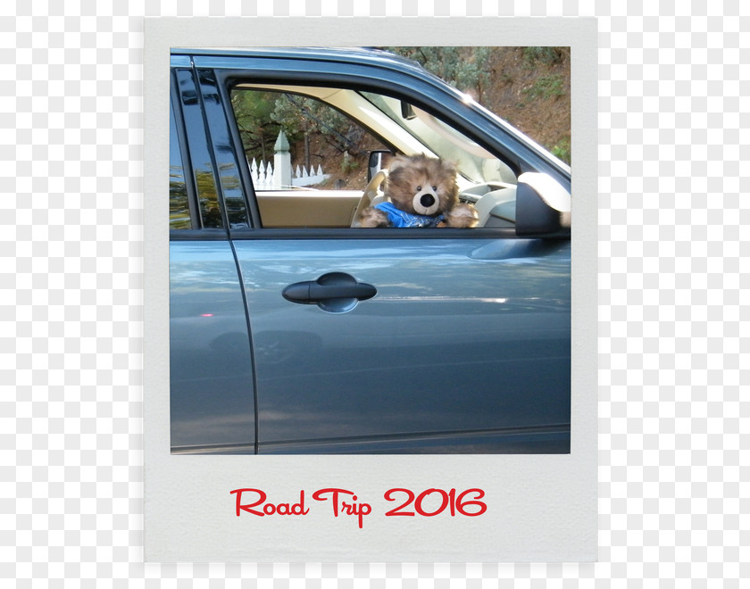 Car Railing Door Window Rear-view Mirror PNG