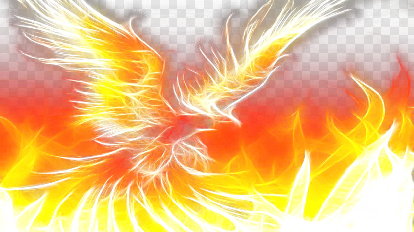 Flaming Phenix Phoenix Download High-definition Video Wallpaper PNG