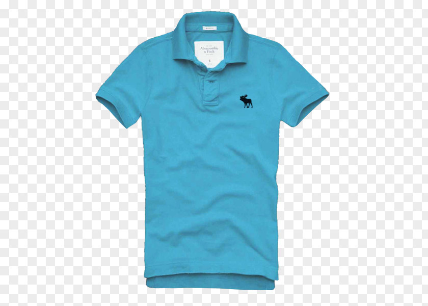 Shirts Egypt T-shirt Polo Shirt Abercrombie & Fitch Clothing Piqué PNG
