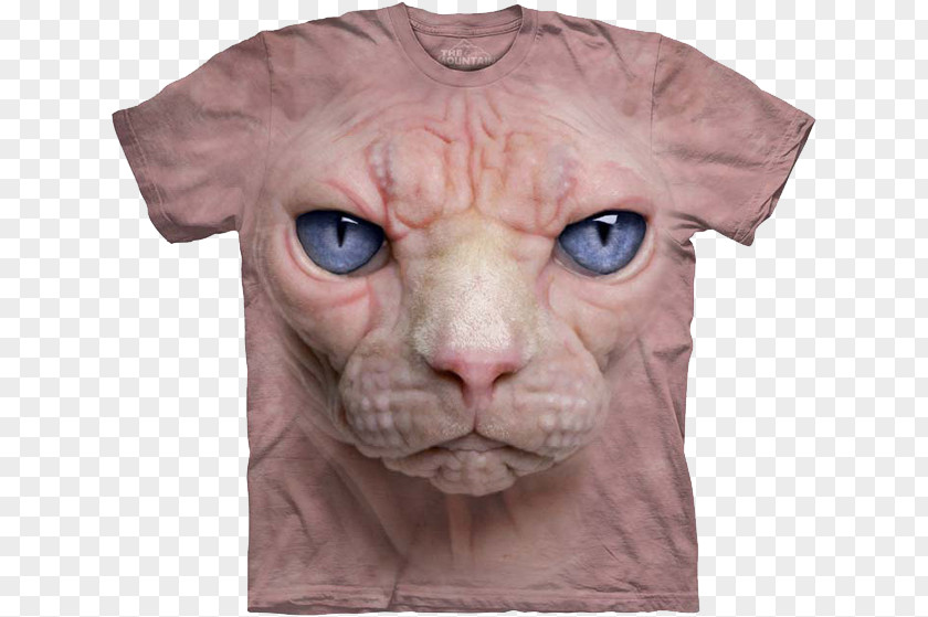 T-shirt Cat Kitten Hoodie PNG