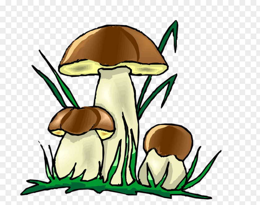 Creative Hand-painted Cartoon Mushrooms Download Desktop Wallpaper Fungus Computer Clip Art PNG