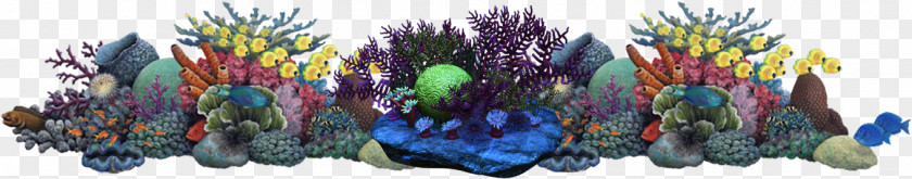 Sea Coral Reef Underwater Alcyonacea PNG