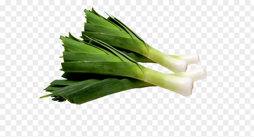 Vegetable Leek Vinaigrette Garlic Food PNG