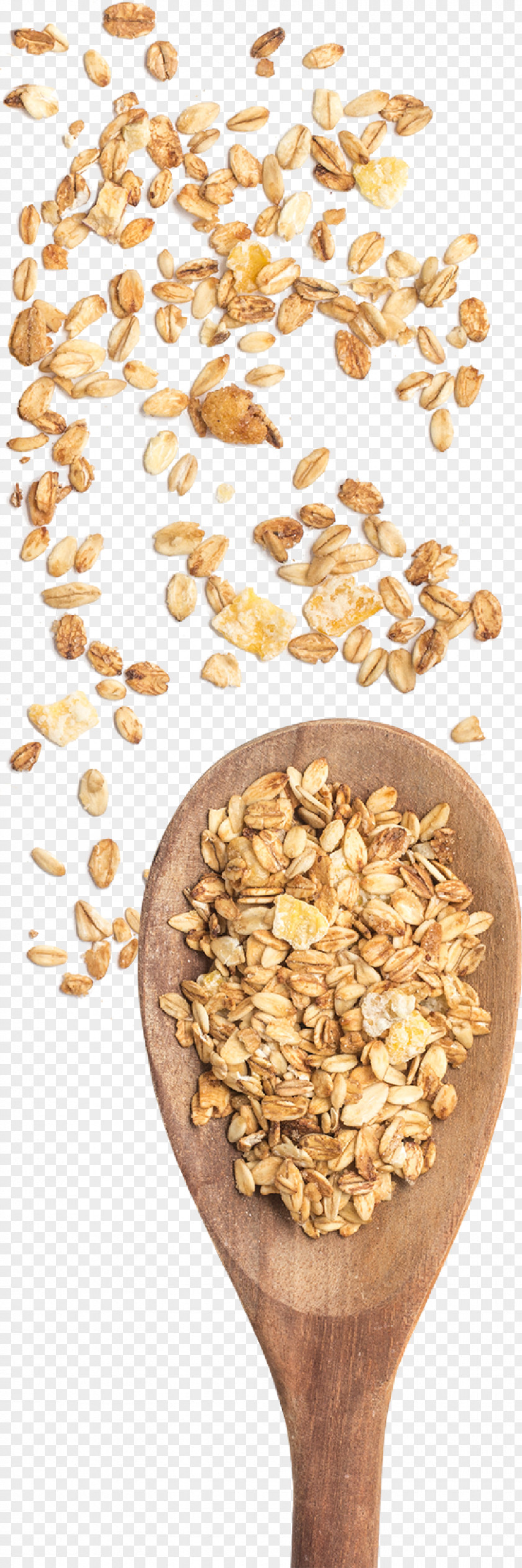 Breakfast Cereal Germ Whole Grain Oat PNG