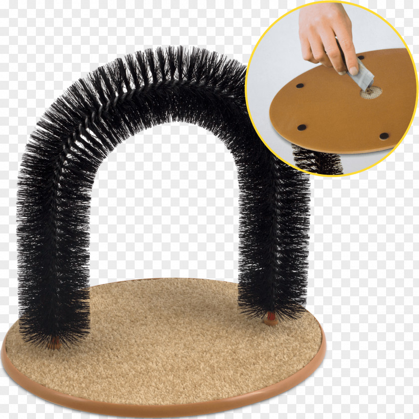 Cat Pet Hairball PNG