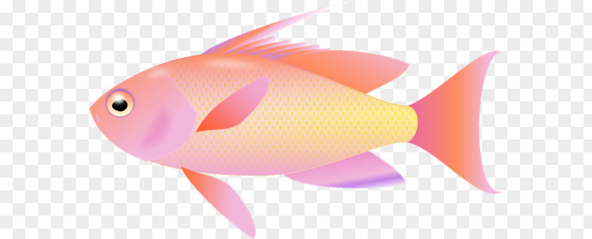 Fish Desktop Wallpaper Clip Art PNG