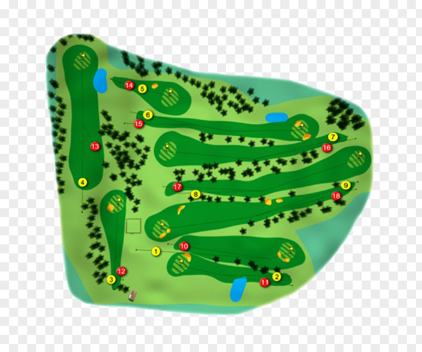 Golf Course Hole Tees Sport PNG