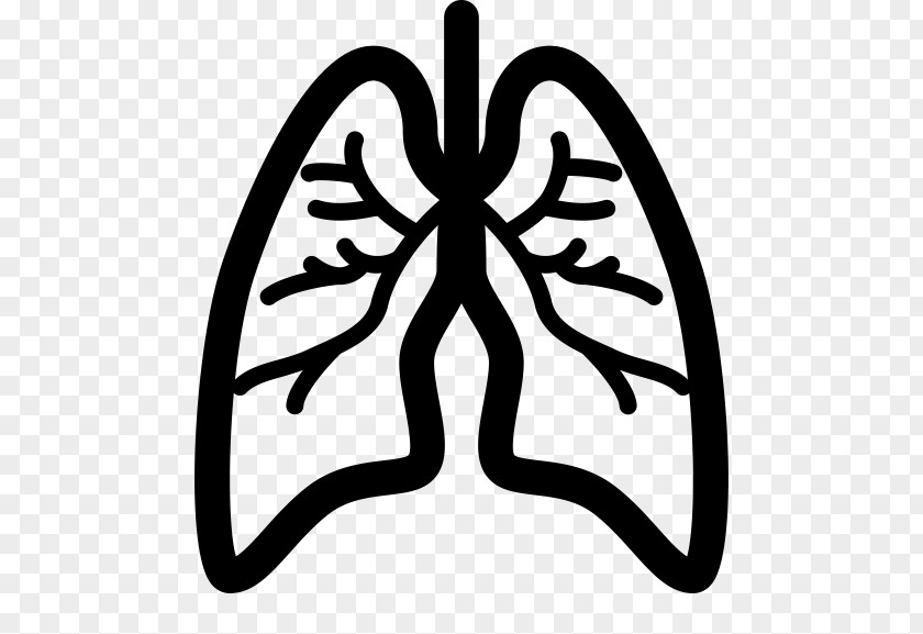 Lung Cancer Eddie Kaspbrak Respiratory Disease Mesothelioma PNG