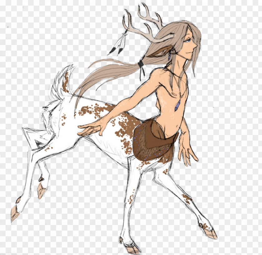 Watercolor Deer Drawing Art Horse PNG