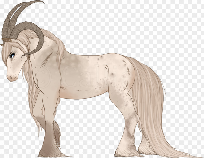 Watercolor Horse Mustang Pony Stallion Mane Mare PNG