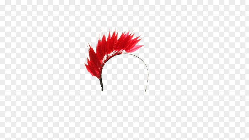 Head Band Feather PNG